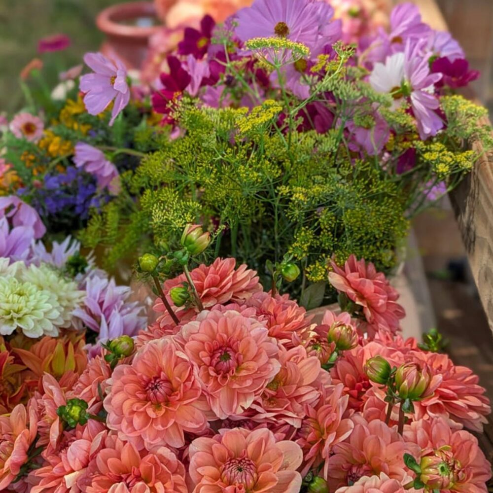 Atelier au Jardin – Image 2